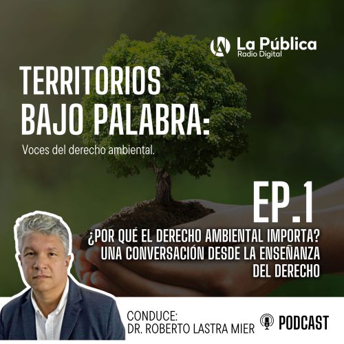 Por qué el derecho ambiental importa Una conversación desde la enseñanza del derecho